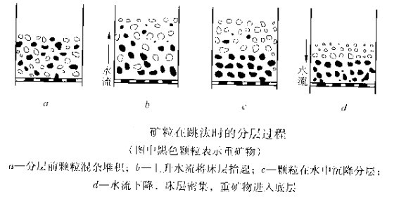 矿粒在跳汰时的分层过程